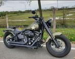 Harley Davidson Softtail S, Particulier