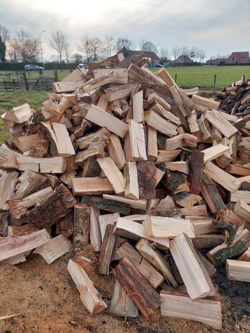 Brandhout eik en beuk gekloven.