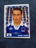 panini sticker Football 99 nr 136, Ophalen of Verzenden, Nieuw, Sticker