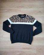 Trui Shein maat 36, Shein, Ophalen of Verzenden, Zo goed als nieuw, Maat 36 (S)