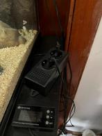 Te koop: Exo Terra Full Terrarium + Volwassen Luipaardgekko, Dieren en Toebehoren, Ophalen, Gebruikt, Terrarium of Paludarium