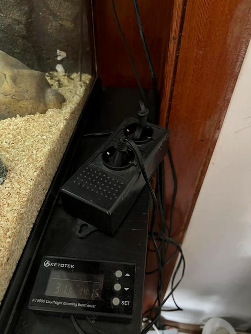Te koop: Exo Terra Full Terrarium + Volwassen Luipaardgekko, Dieren en Toebehoren, Reptielen en Amfibieën | Toebehoren, Gebruikt