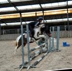 Super brave, stoere allround pony!DEZE MAAND OPHALEN, Dieren en Toebehoren, Merrie, B, Springpony, C pony (1.27m tot 1.37m)