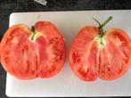 5 zaden tomaat Gigant Krasnij BIO, Tuin en Terras, Bloembollen en Zaden, Voorjaar, Zaad, Verzenden