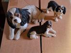 Cavalier King charles, Dieren en Toebehoren, Ophalen, Zo goed als nieuw