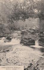 SART-LEZ-SPA -  La Hoégne   De Rustieke Eik + 115 Jaar Oud !, Gelopen, Luik, Voor 1920, Verzenden