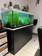 Aquarium met kast en buitenfilter, Dieren en Toebehoren, Vissen | Aquaria en Toebehoren, Ophalen, Zo goed als nieuw