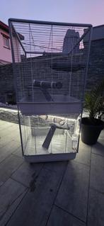 Double cage furets, Ophalen