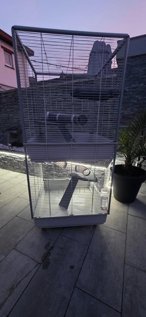 Double cage furets, Dieren en Toebehoren, Overige Dieren-accessoires, Ophalen