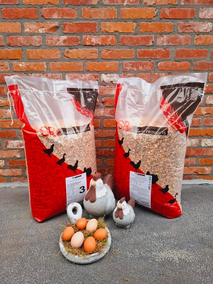 Kippengraan met gebroken maïs met of zonder legkorrel. 20kg, Dieren en Toebehoren, Dierenvoeding, Pluimvee, Ophalen