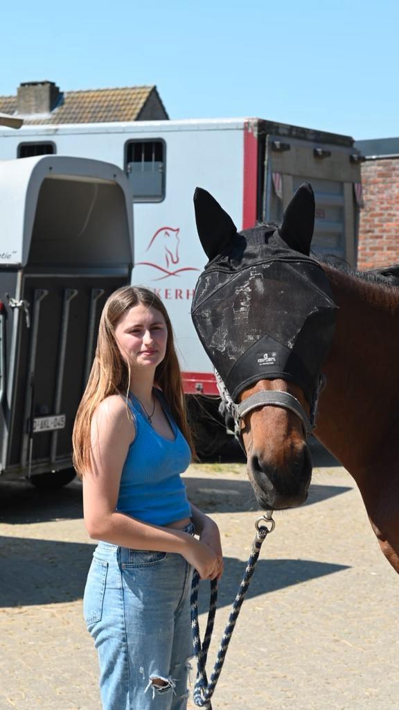 Halve/Volle stal gezocht (regio Stabroek), Dieren en Toebehoren, Pony's