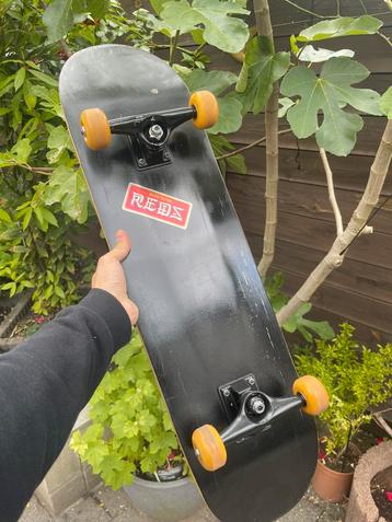 Skate beschikbaar voor biedingen