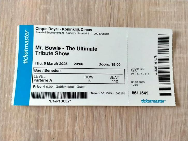 Ticket concert Mr Bowie - Ultimate tribute@Cirque royal, Collections, Collections Autre, Utilisé, Enlèvement