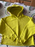 ZARA hoodie maat S, Kleding | Dames, Truien en Vesten, Ophalen of Verzenden