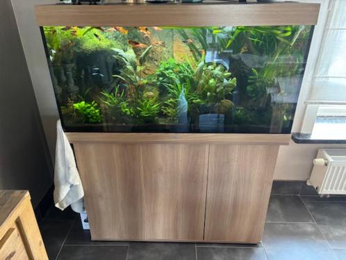 juwel rio 300, Dieren en Toebehoren, Vissen | Aquaria en Toebehoren, Ophalen