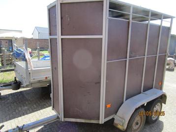 kleinvee trailer beschikbaar voor biedingen