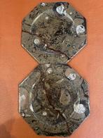 Fossielen 2 dessertborden ONBESCHADIGD 19,5cm., Antiquités & Art, Enlèvement ou Envoi
