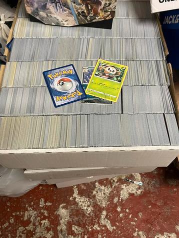 28000 pokemon kaarten beschikbaar voor biedingen