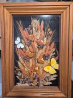 Kader met gedroogde bloemen en vlinders, Ophalen of Verzenden