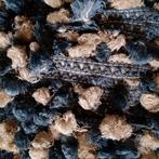 Oude Brocante textiel lint flosjes .26 meter, Verzenden