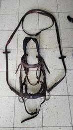 Bridon avec rênes Antarès, Dieren en Toebehoren, Ophalen of Verzenden, Zo goed als nieuw, Overige soorten