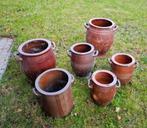 Bruine bloempotten- smoutpotten, Ophalen