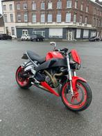 Buell XB12, Motoren, Motoren | Buell, 2 cilinders, Bedrijf, Sport, Meer dan 35 kW