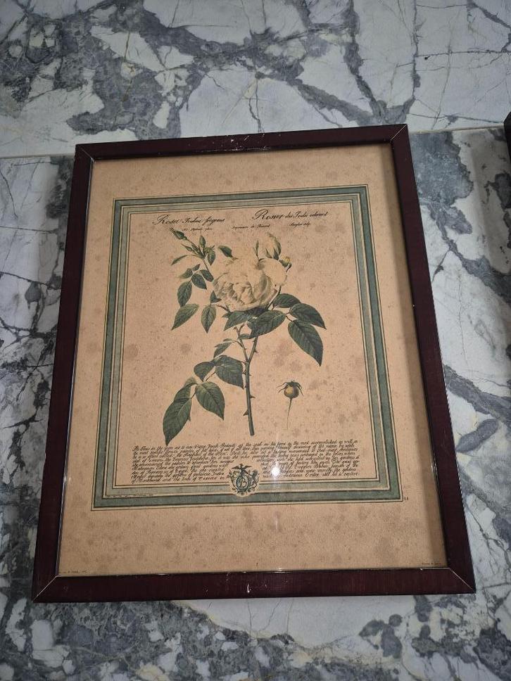 oude kaders met rozen, Antiek en Kunst, Curiosa en Brocante, Ophalen