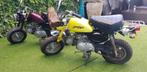 Ancêtres, Motos, Enlèvement
