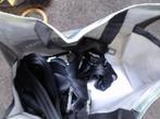 3 ceintures arrière Dacia Sandero 2 2017 LP/14910, Ophalen, Gebruikt, Dacia