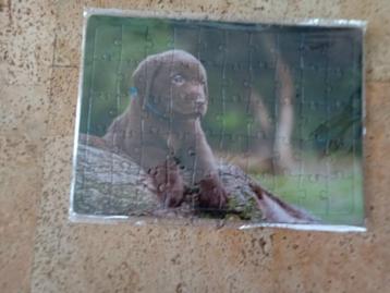 Puzzel hond beschikbaar voor biedingen