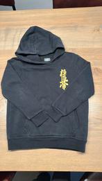 Hoodi sutani dojo maat 140, Ophalen of Verzenden, Zo goed als nieuw