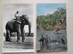 2 oude postkaarten: Olifanten, Ophalen of Verzenden