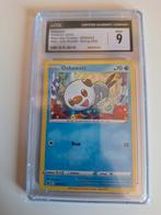 Oshawott Black star 2022, Hobby en Vrije tijd, Verzamelkaartspellen | Pokémon, Ophalen of Verzenden, Nieuw, Overige typen, Foil