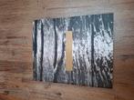 Pure C kookboek met bijhorende cd, Boeken, Ophalen