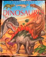 Livre « dinosaure » l’image animale, Boeken, Kinderboeken | Jeugd | 10 tot 12 jaar, Ophalen of Verzenden, Gelezen