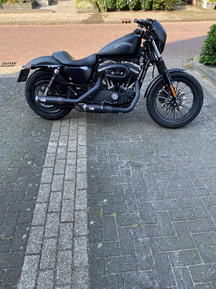 Harley Davidson Sportser XL883N Iron, Motoren, Motoren | Harley-Davidson, Particulier, Chopper, meer dan 35 kW, 2 cilinders, Motorrijbewijs A