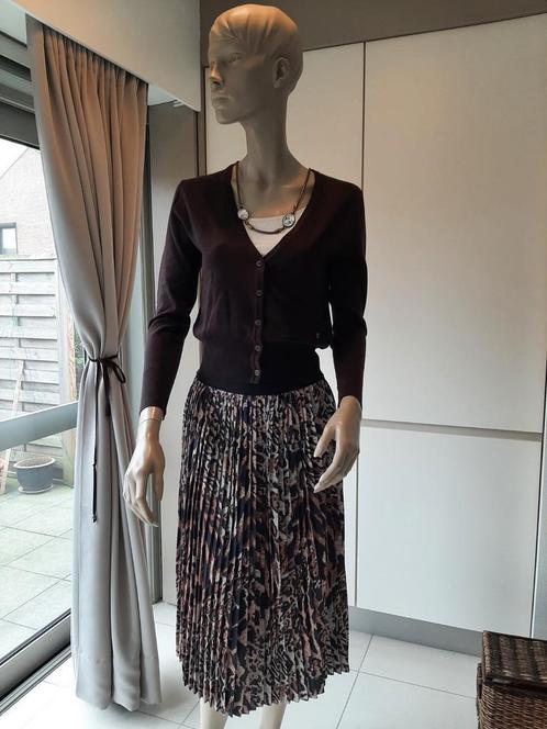 Rok / nieuw en gilet, Kleding | Dames, Rokken, Zo goed als nieuw, Maat 34 (XS) of kleiner, Bruin, Ophalen of Verzenden