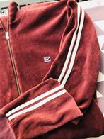 Sportieve vest Scapa, Kleding | Dames, Scapa, Overige kleuren, Maat 42/44 (L), Ophalen of Verzenden