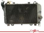 RADIATEUR Kawasaki ZZR 600 1990-1992 (ZZ-R600 ZX-6E ZX600D), Motoren, Gebruikt