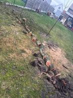 Gratis bomen vellen in ruil voor het hout, Tuin en Terras, Ophalen