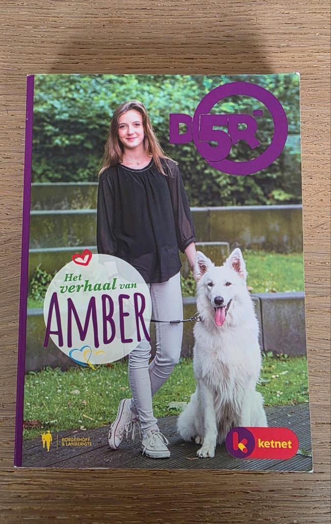Het verhaal van Amber van Ketnet, Boeken, Kinderboeken | Jeugd | 13 jaar en ouder, Ophalen of Verzenden