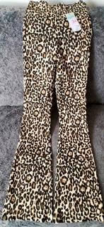 Nieuwe broek met rits opzij: maat 34 (Primark), Primark, Ophalen, Nieuw, Maat 34 (XS) of kleiner
