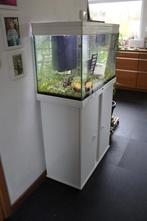 aquarium, Enlèvement, Utilisé, Aquarium d'eau douce rempli