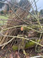 Gratis brandhout, Ophalen of Verzenden