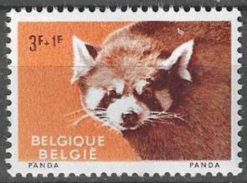 Belgie 1961 - Yvert/OBP 1186 - Zoo Antwerpen - Panda (PF), Postzegels en Munten, Postzegels | Europa | België, Postfris, Postfris