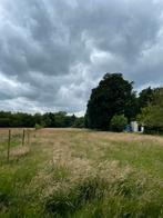 Weide van 2 hectare te huur, Weidegang, 4 paarden of pony's of meer