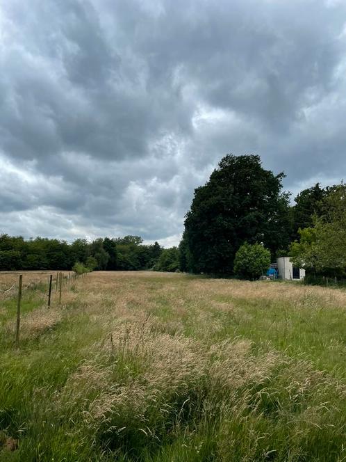 Weide van 2 hectare te huur, Dieren en Toebehoren, Stalling en Weidegang, Weidegang, 4 paarden of pony's of meer