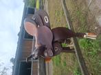 Westernzadel, Dieren en Toebehoren