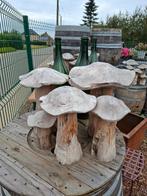 Teak houten paddestoelen set v 5 stuks! Mooie tuindecoratie, Tuin en Terras, Ophalen of Verzenden